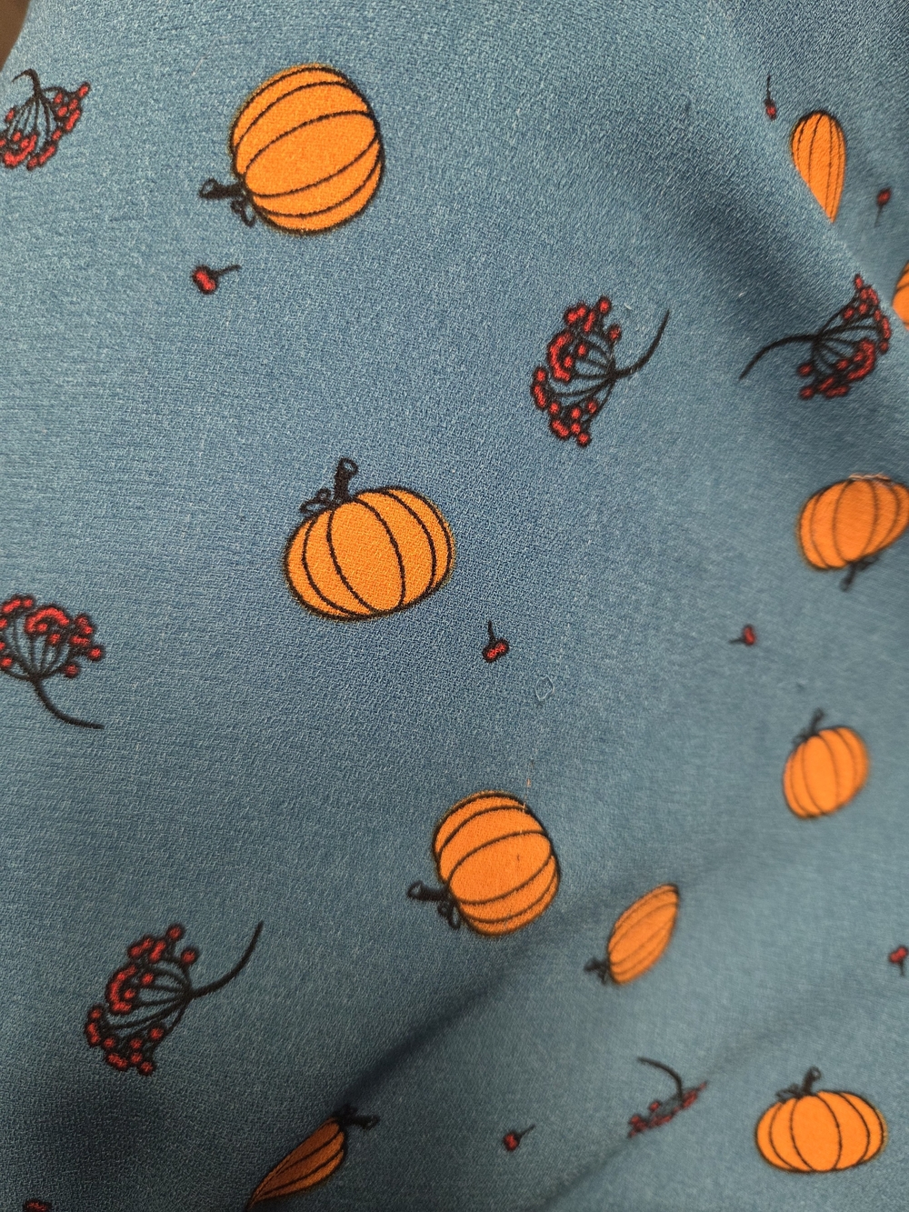 Blue Pumpkin Print Button-Front Dress - Picture 4 of 5